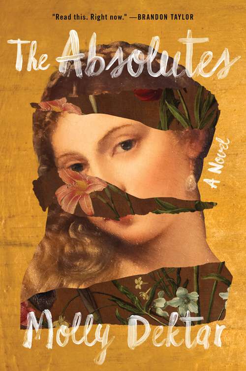 Book cover of The Absolutes: A Novel