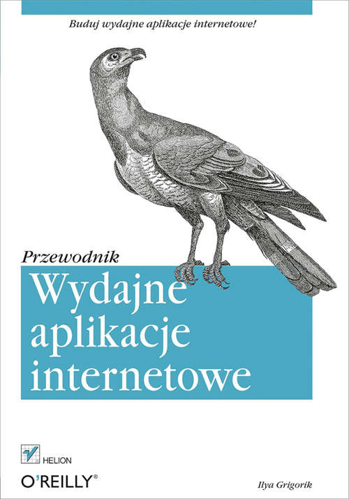 Book cover of Wydajne aplikacje internetowe. Przewodnik