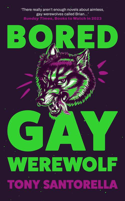 Book cover of Bored Gay Werewolf: An Ungodly Joy Attitude Magazine