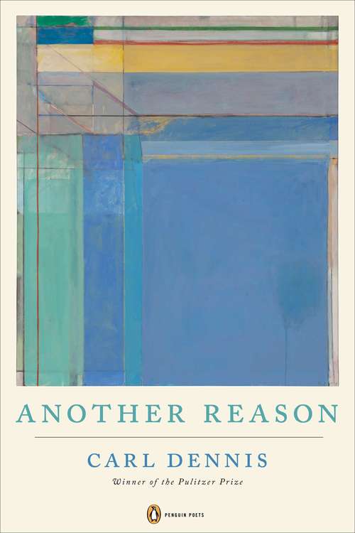 Book cover of Another Reason