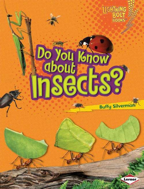 Book cover of Do You Know About Insects?