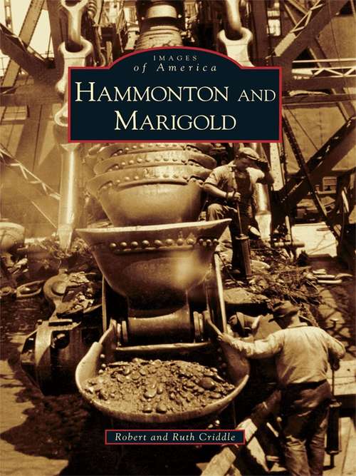 Hammonton and Marigold (Images of America)