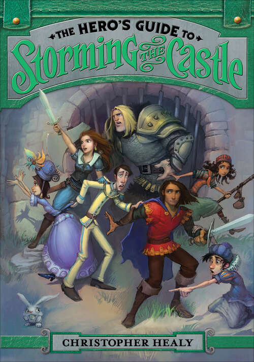 Book cover of The Hero's Guide to Storming the Castle