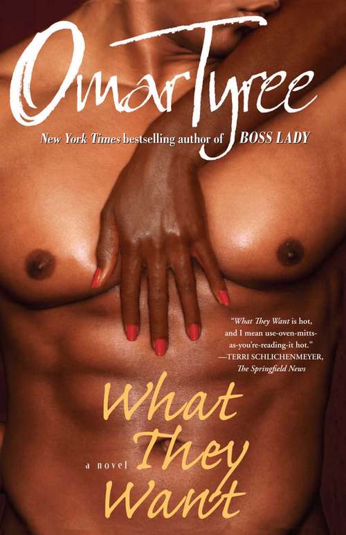 Book cover of What They Want