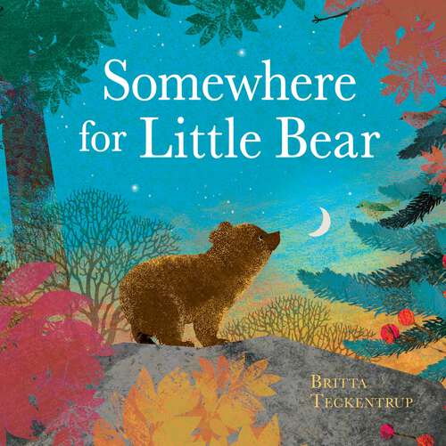 Book cover of Somewhere for Little Bear