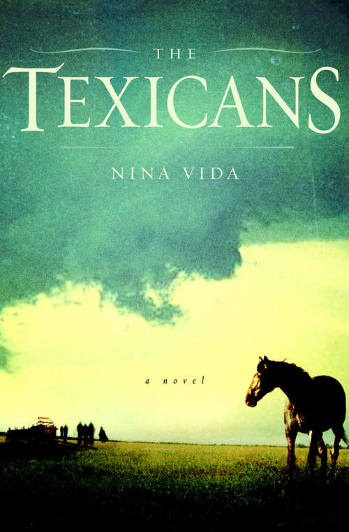 Book cover of Texicans