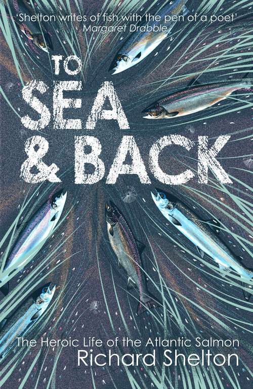 Book cover of To Sea & Back: The Heroic Life of the Atlantic Salmon