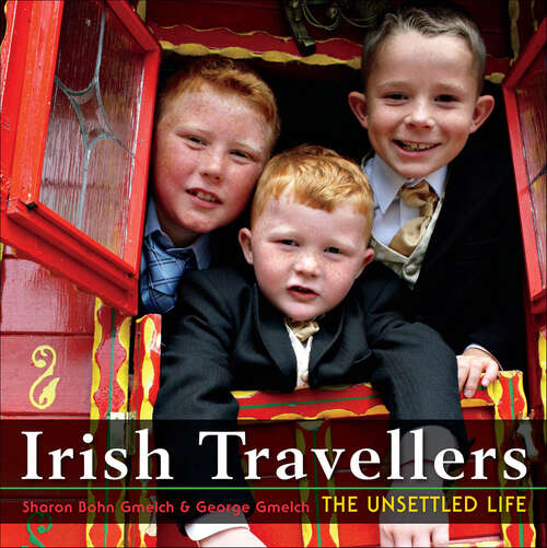 Book cover of Irish Travellers: The Unsettled Life