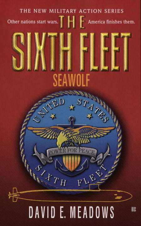 Book cover of The Sixth Fleet: Seawolf (Sixth Fleet #2)