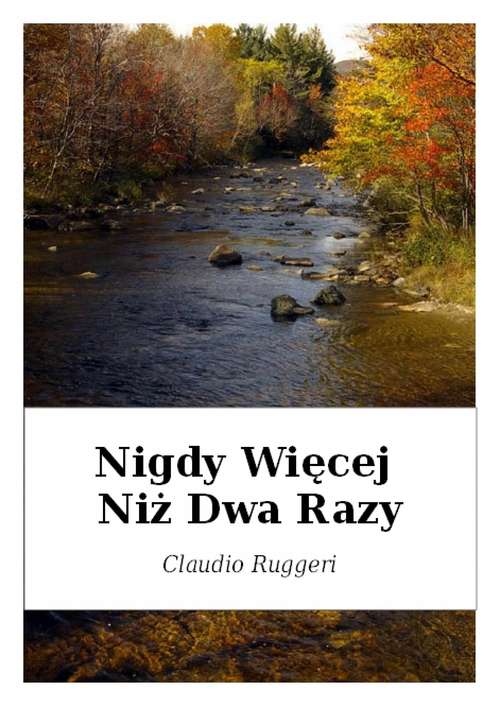 Book cover of Nigdy Więcej Niż Dwa Razy