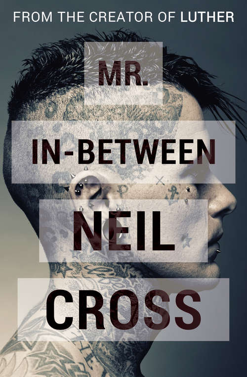 Book cover of Mr. In-Between