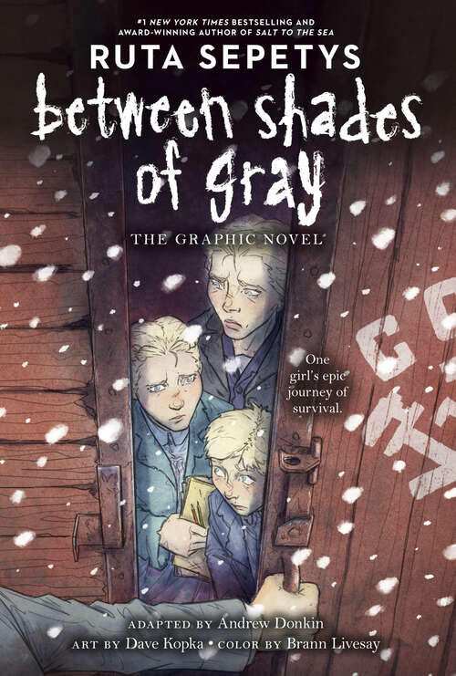 Book cover of Between Shades of Gray: The Graphic Novel