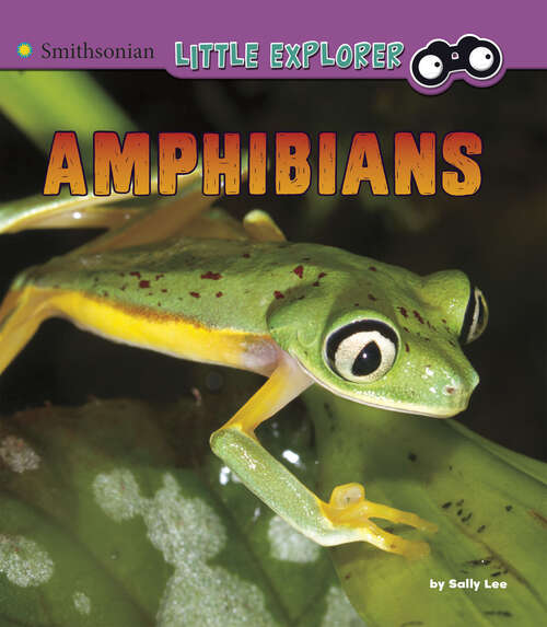 Amphibians: A 4d Book (Little Zoologist Ser.)