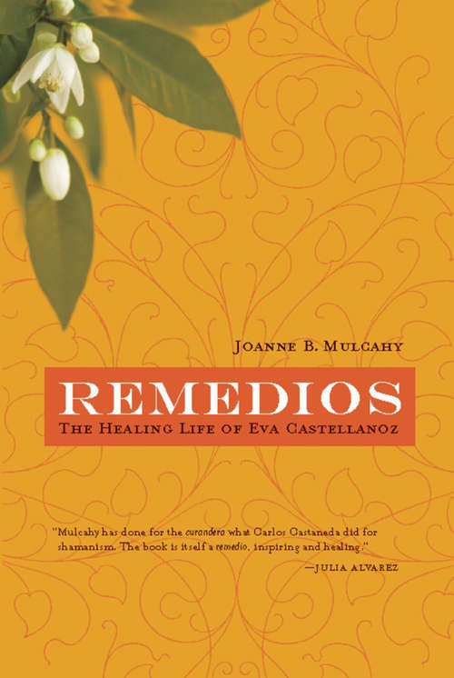 Book cover of Remedios