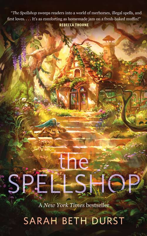 Book cover of The Spellshop