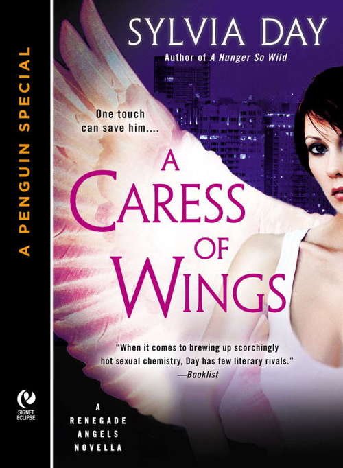 Book cover of A Caress of Wings