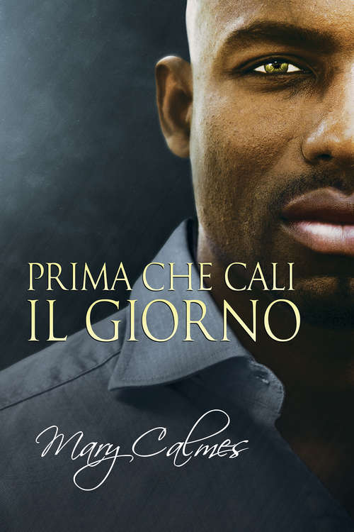 Book cover of Prima che cali il giorno (La Volta #2)