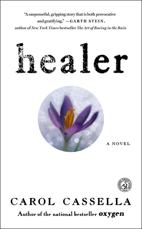 Book cover of Healer: A Novel
