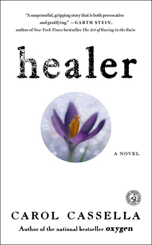 Book cover of Healer