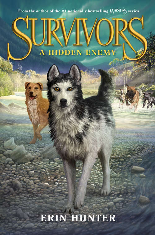 Book cover of A Hidden Enemy (Survivors #2)
