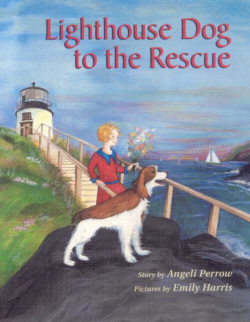 Book cover of Lighthouse Dog to the Rescue