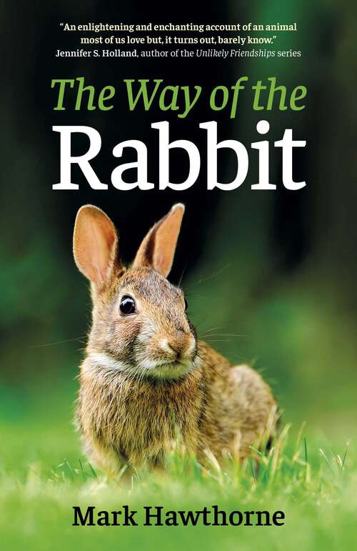 Book cover of The Way of the Rabbit