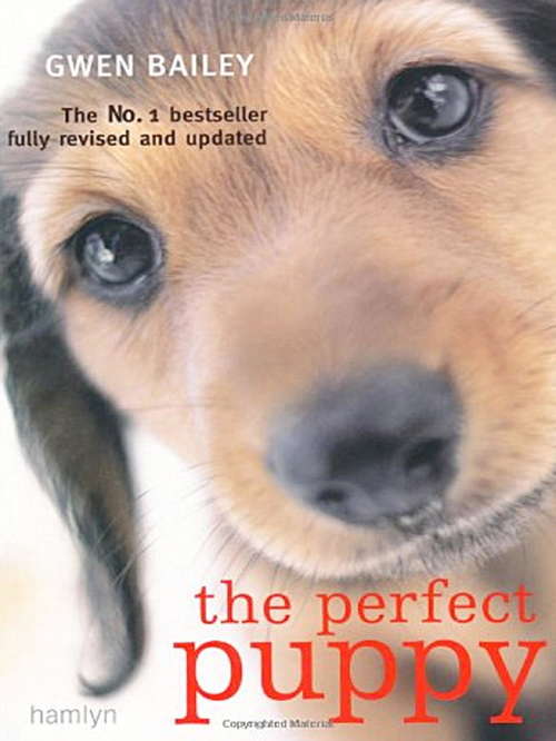 The Perfect Puppy: Take Britain's Number One Puppy Care Book With You!