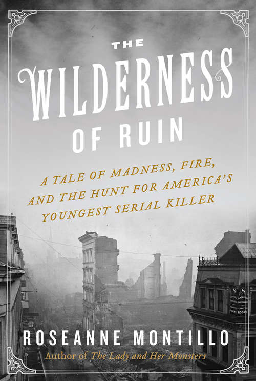 Book cover of The Wilderness of Ruin