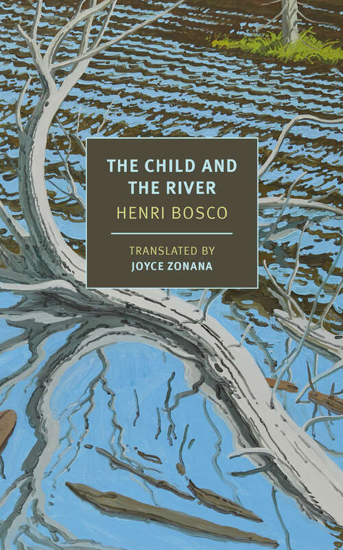 Book cover of The Child and the River