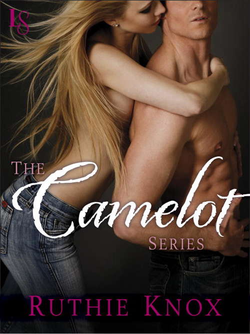 Book cover of The Camelot Series 4-Book Bundle