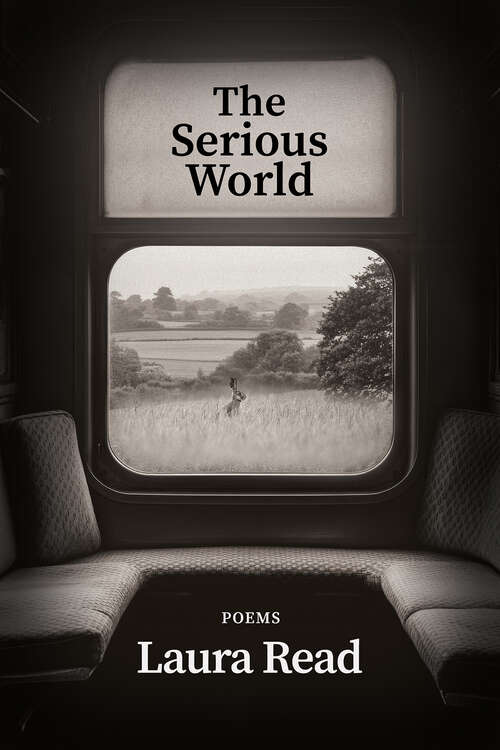 Book cover of The Serious World