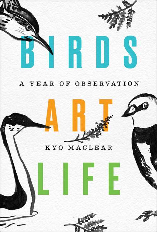 Book cover of Birds Art Life: A Year of Observation