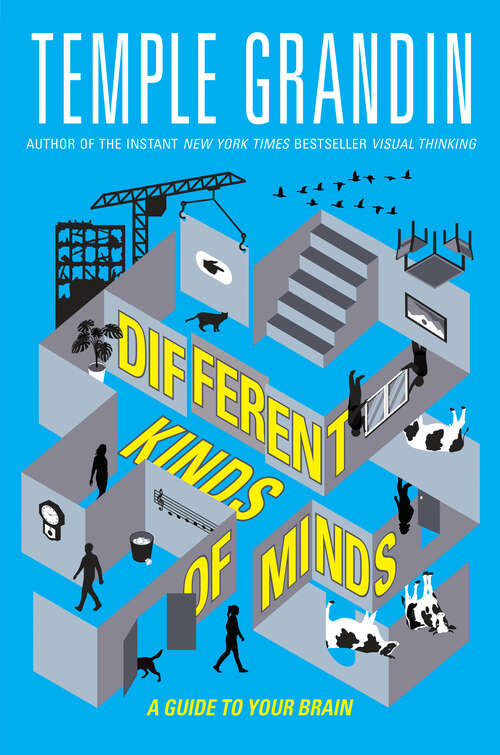 Book cover of Different Kinds of Minds: A Guide to Your Brain