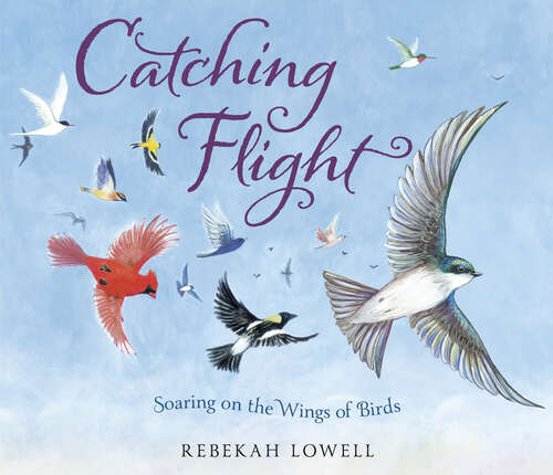 Book cover of Catching Flight: Soaring on the Wings of Birds