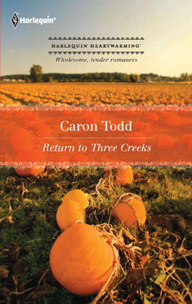 Book cover of Return to Three Creeks