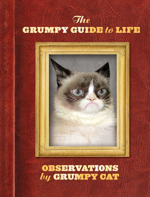 Book cover of The Grumpy Guide to Life