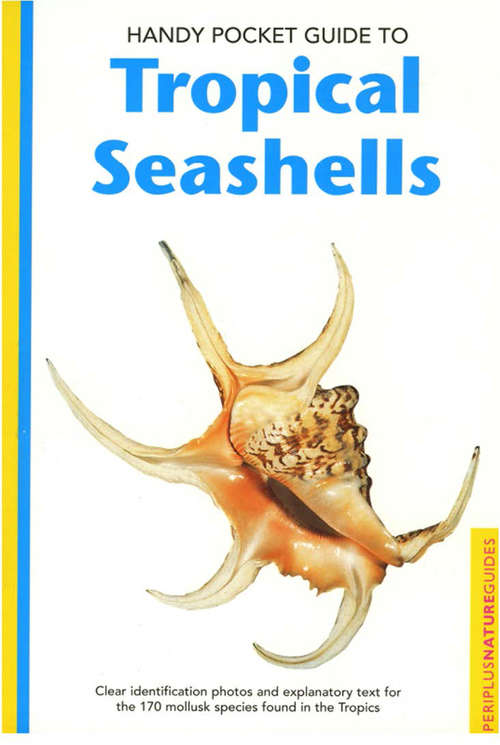 Book cover of Handy Pocket Guide to Tropical Seashells