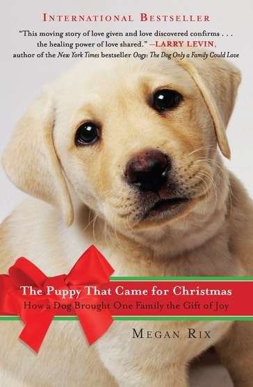 Book cover of The Puppy That Came for Christmas: And Brought One Family the Gift of Joy