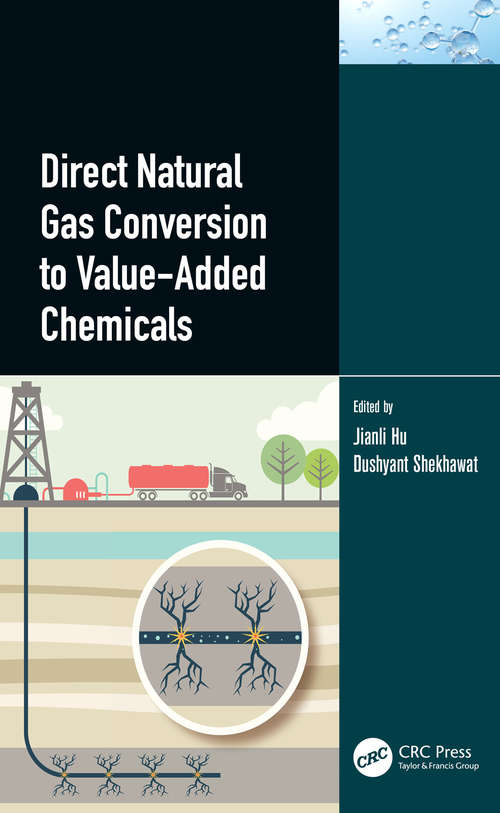 Book cover of Direct Natural Gas Conversion to Value-Added Chemicals