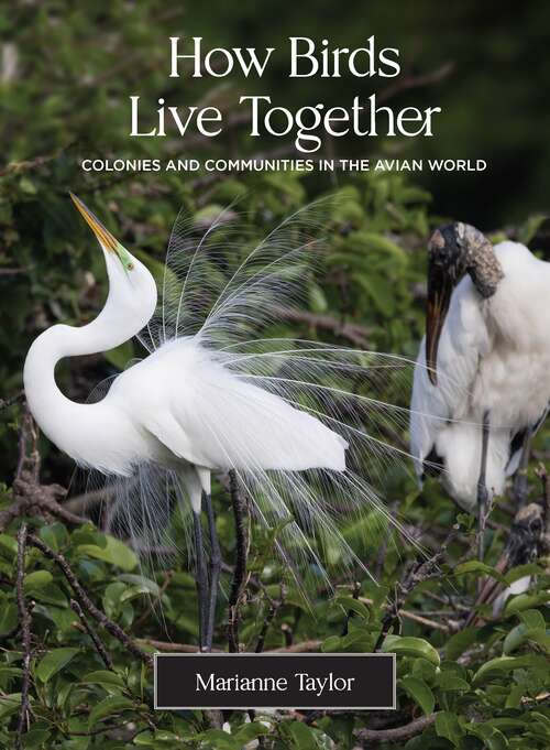 Book cover of How Birds Live Together: Colonies and Communities in the Avian World