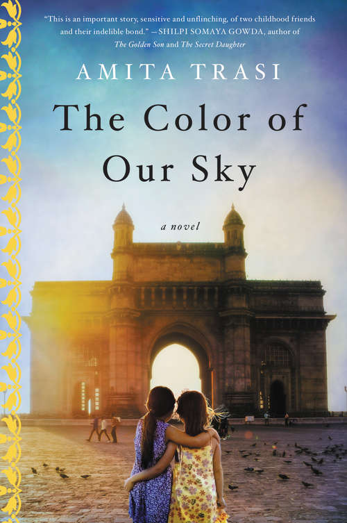 Book cover of The Color of Our Sky: A Novel