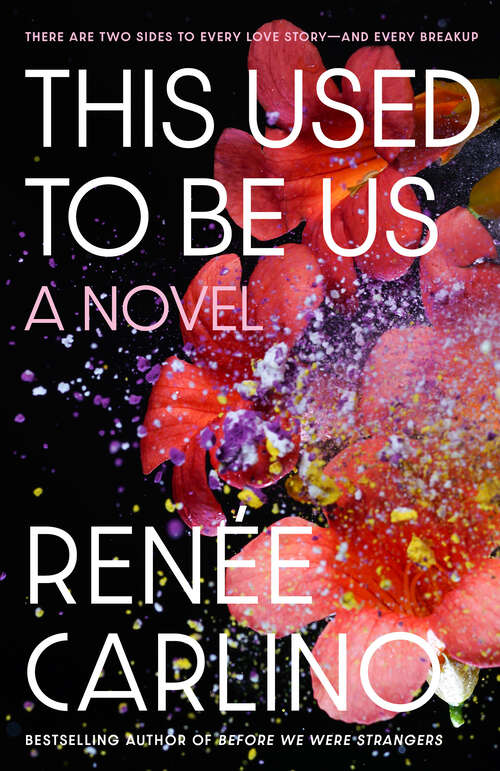 Book cover of This Used to Be Us: A Novel