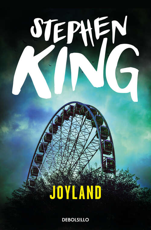 Book cover of Joyland