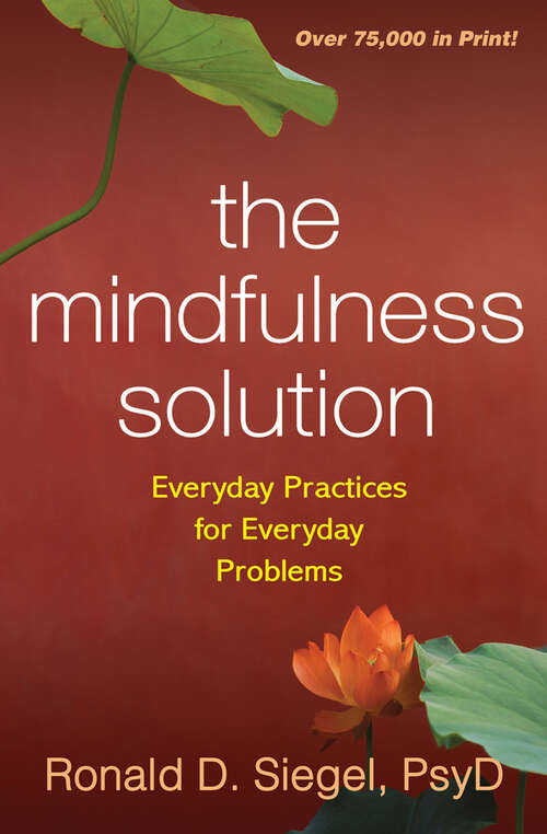 Book cover of Mindfulness Solution