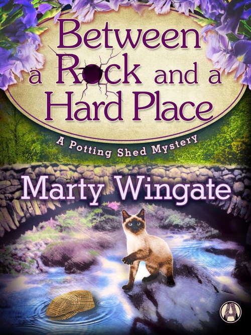 Book cover of Between a Rock and a Hard Place