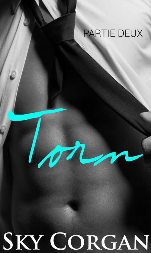 Book cover of Torn: Partie Deux