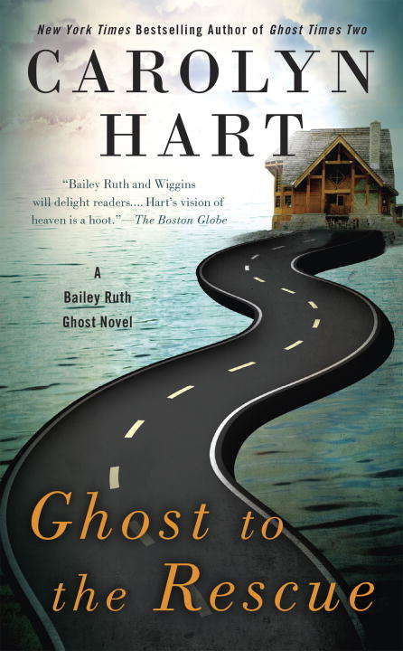 Book cover of Ghost to the Rescue