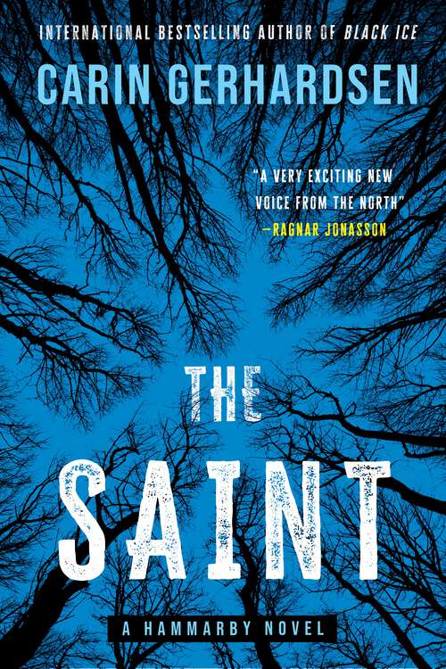 Book cover of The Saint