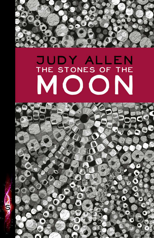 Book cover of The Stones of the Moon