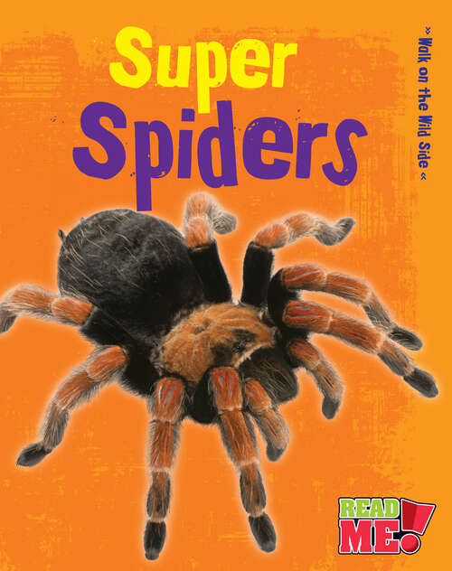 Book cover of Super Spiders (Walk On The Wild Side Ser.)